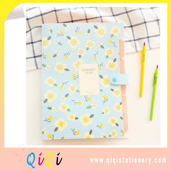 PP A4 expanding file 